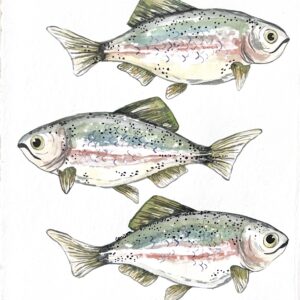 mount sainte victoire